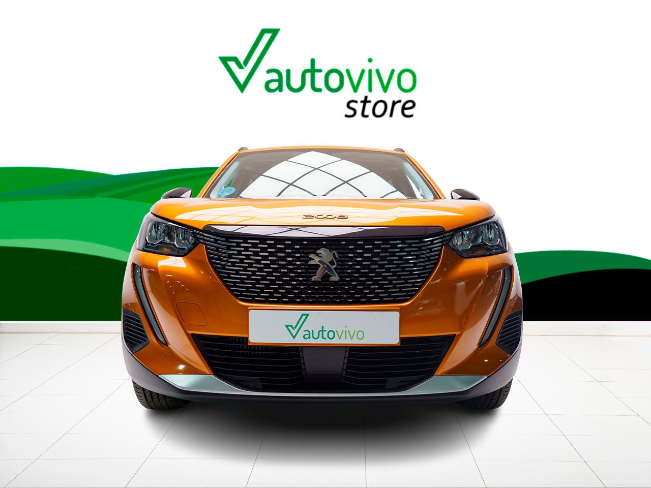 Foto Peugeot 2008 4