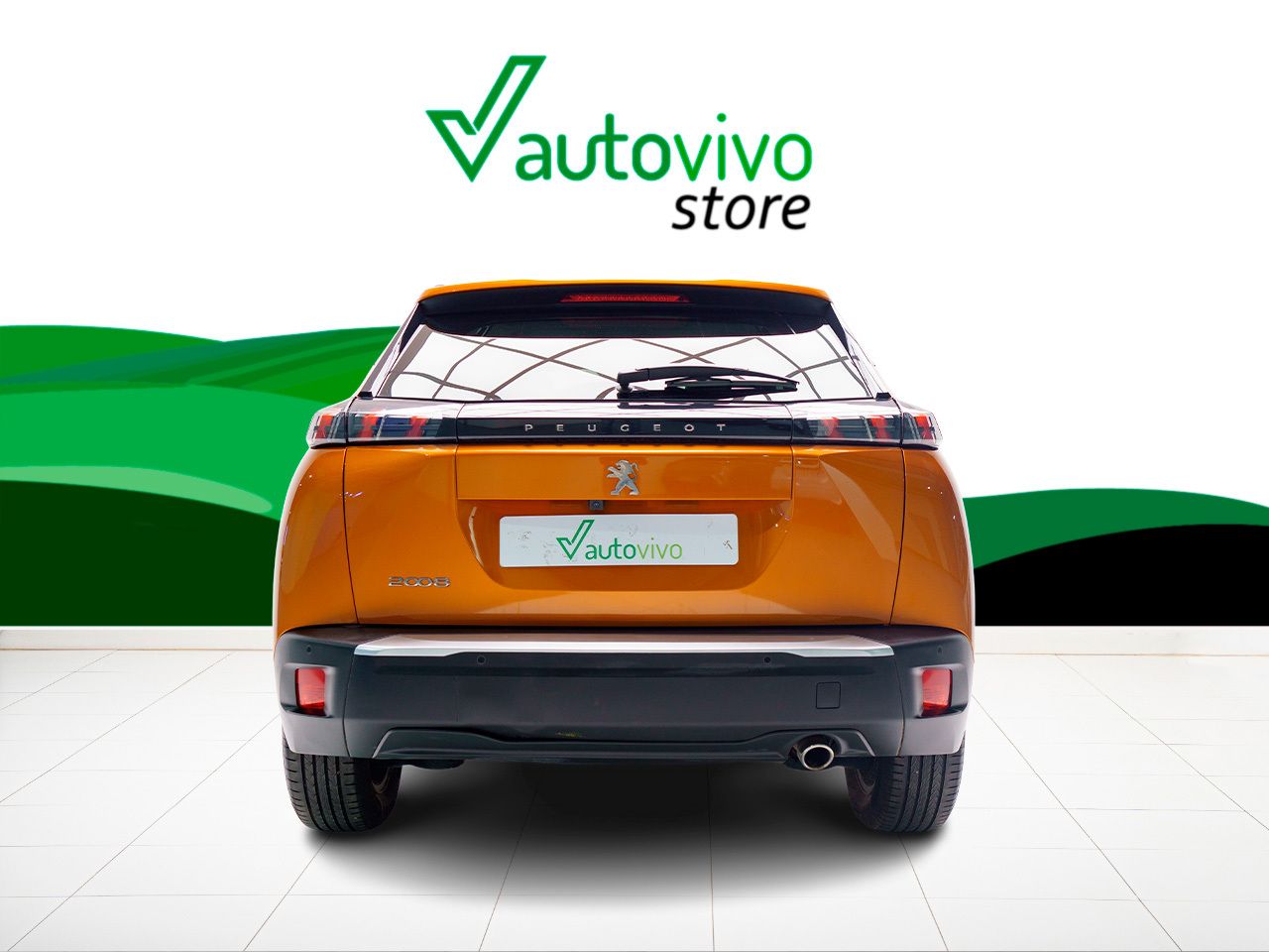 Foto Peugeot 2008 5