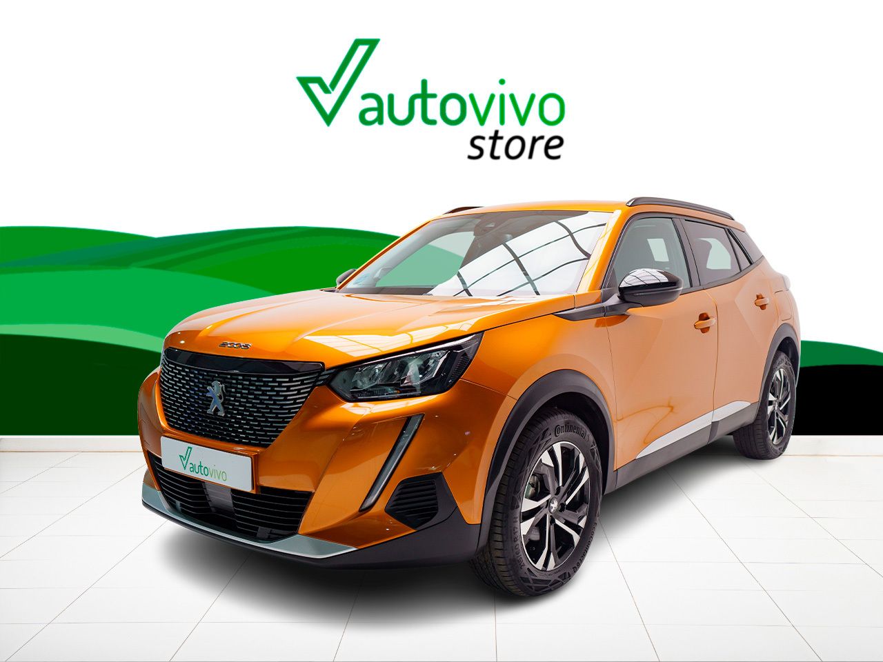 Foto Peugeot 2008 11