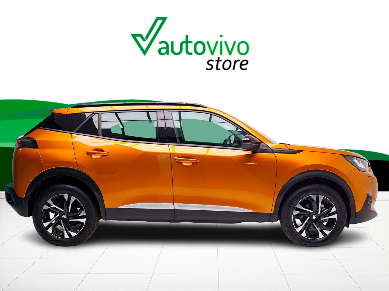 Foto Peugeot 2008 13