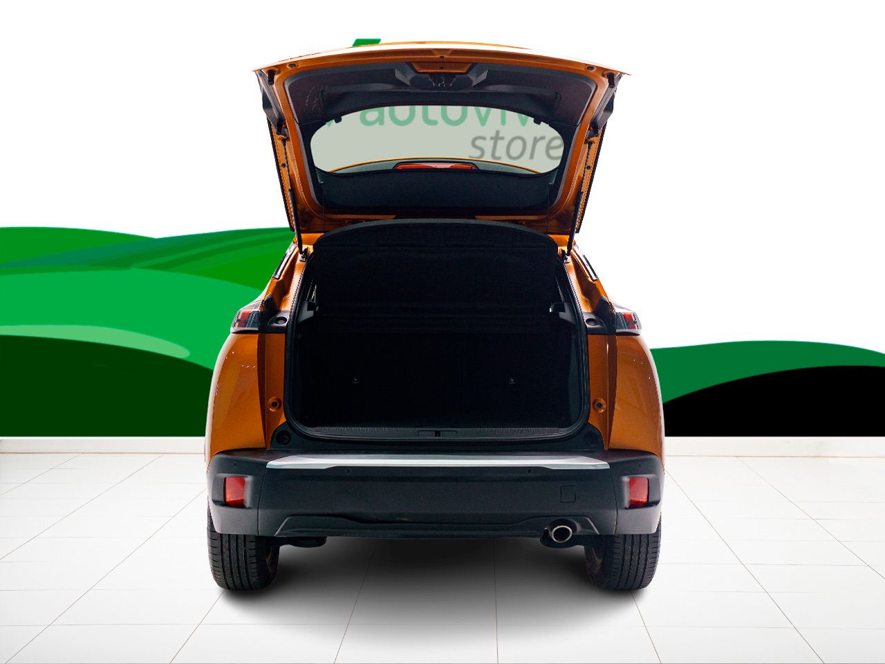 Foto Peugeot 2008 14