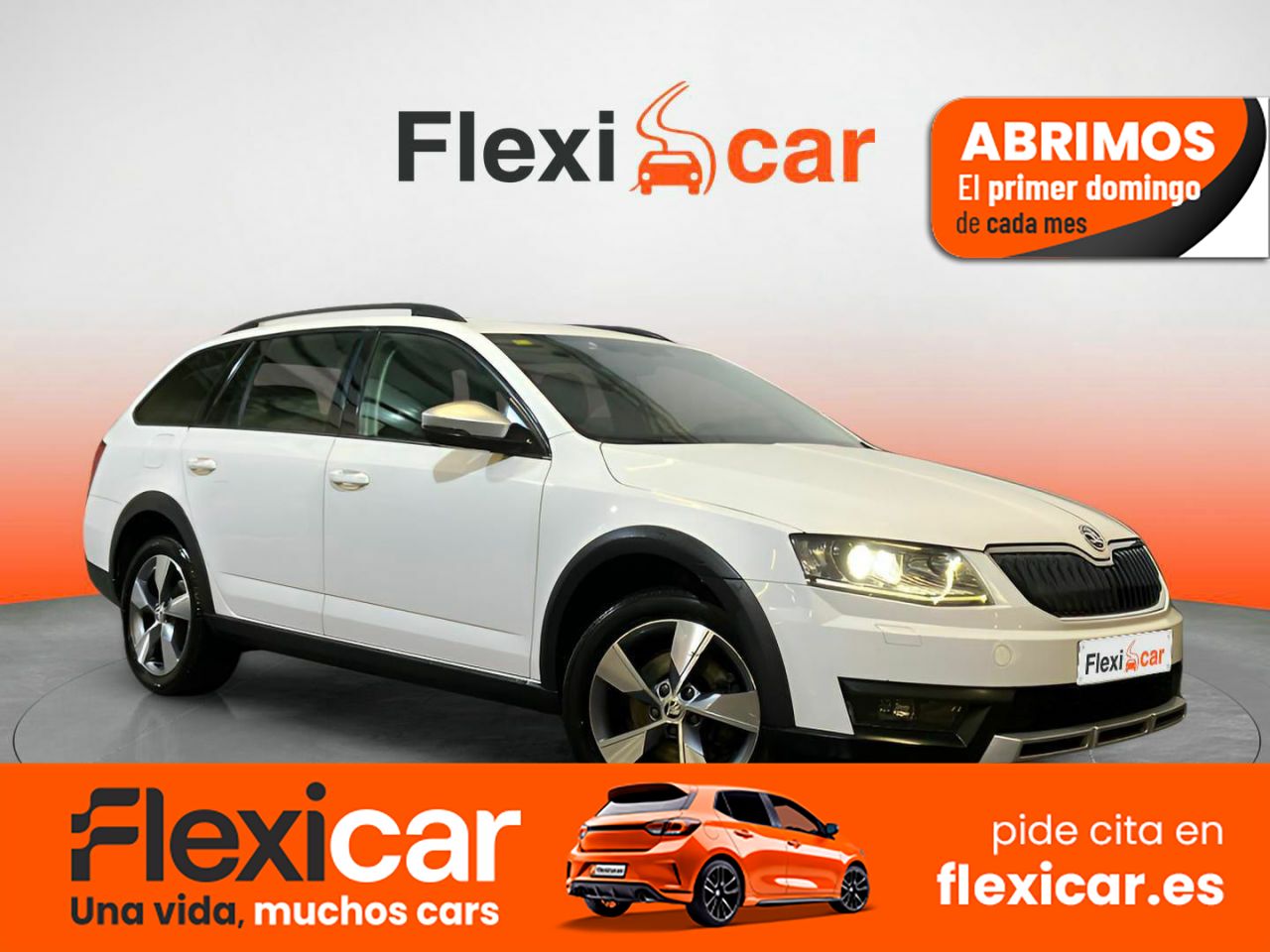 Foto Skoda Octavia 1