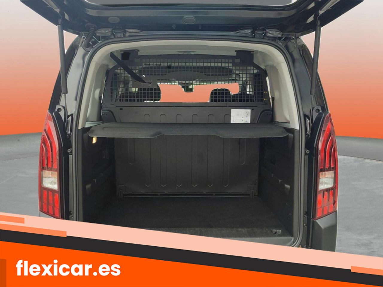 Foto Peugeot Rifter 10