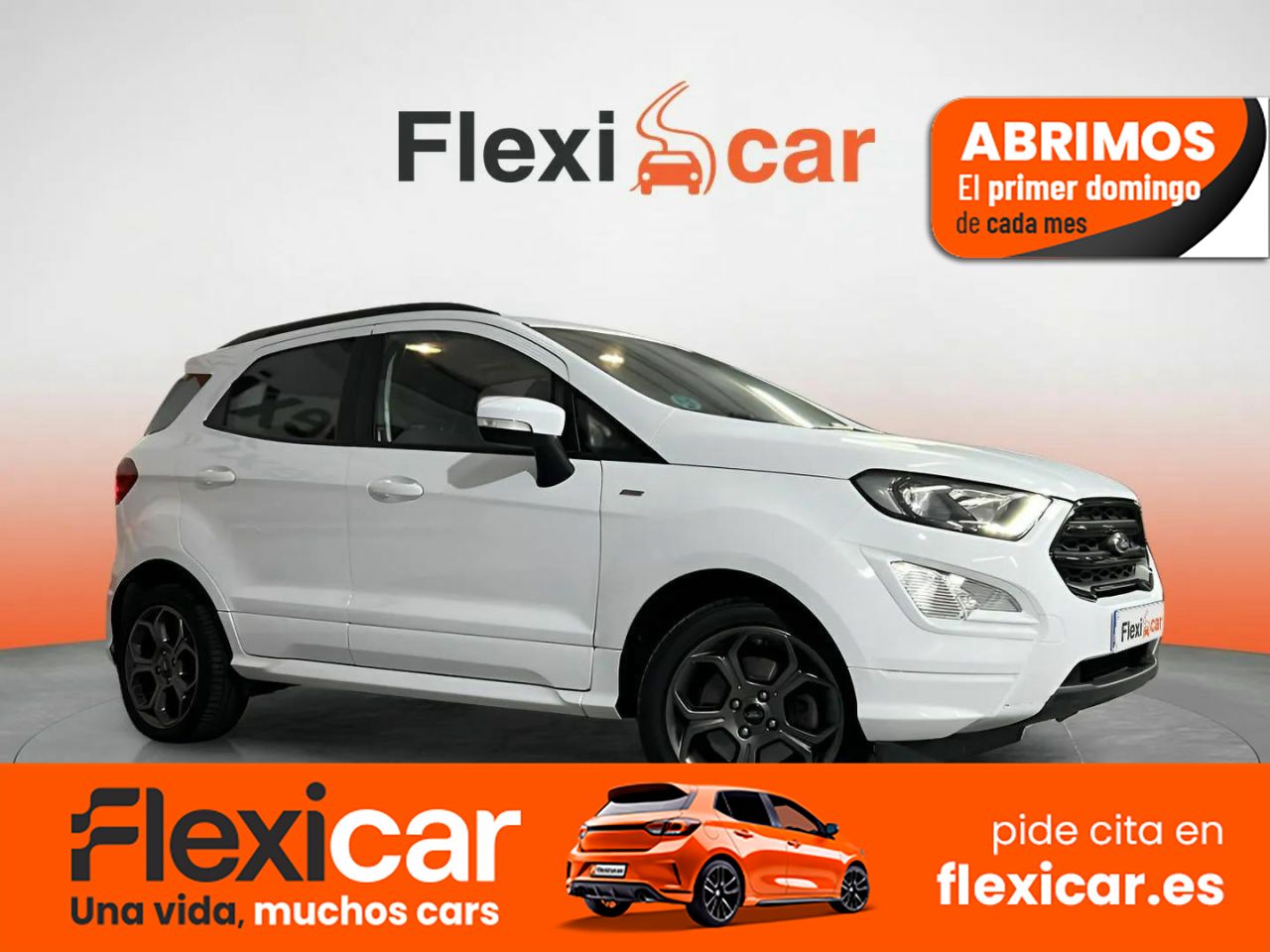 Foto Ford Ecosport 1