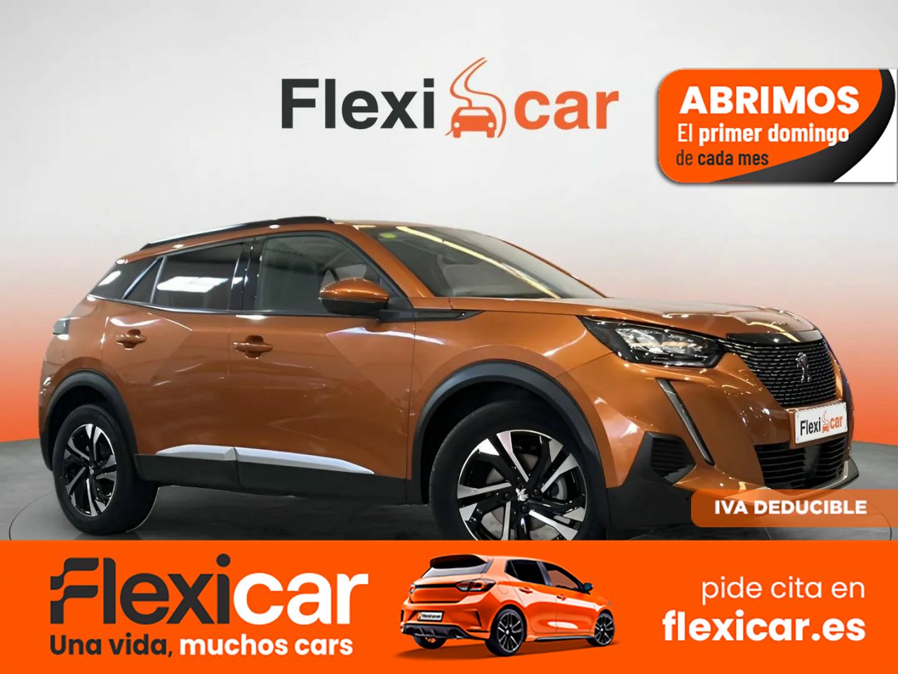 Foto Peugeot 2008 1
