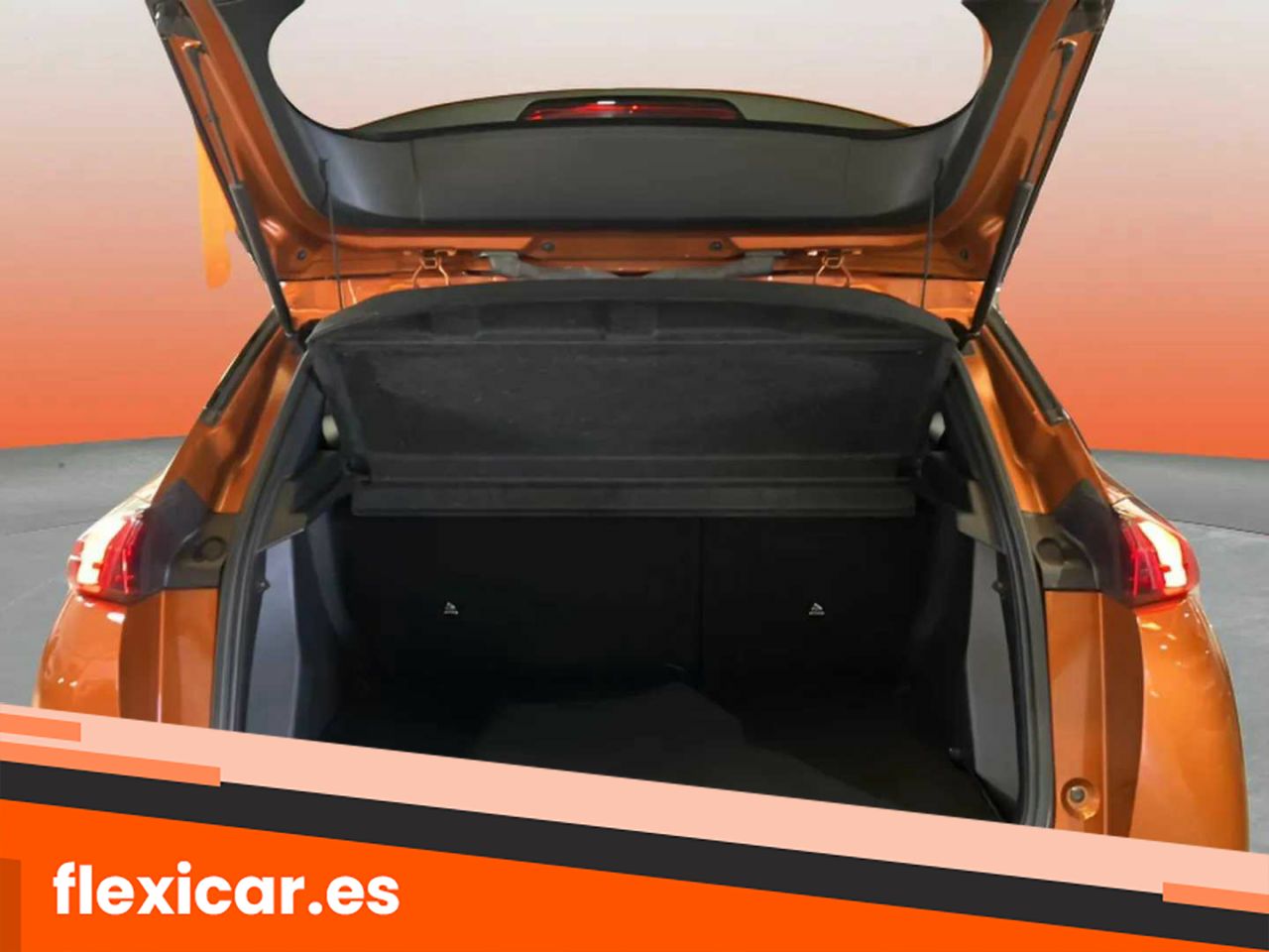 Foto Peugeot 2008 10