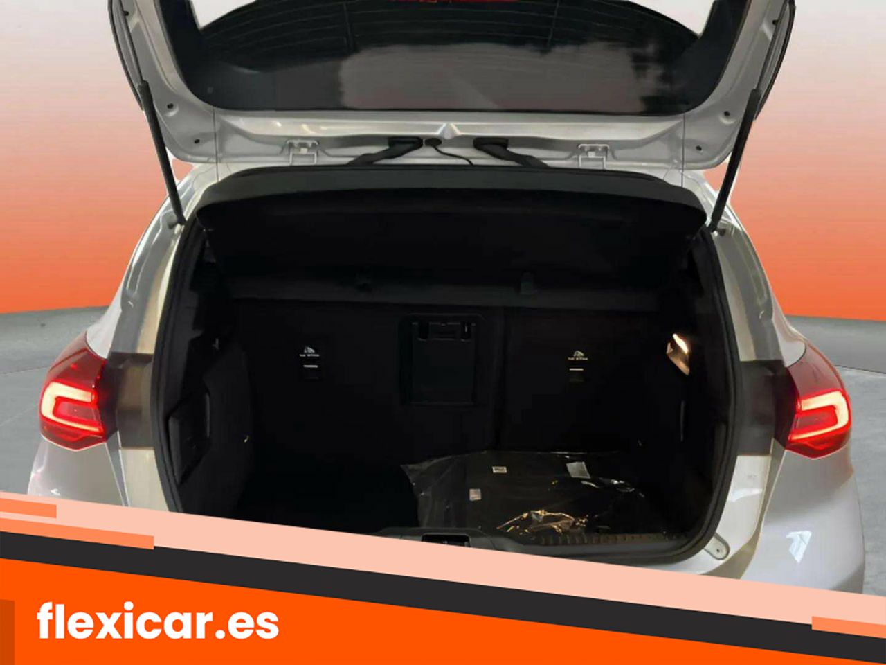 Foto Ford Focus 10