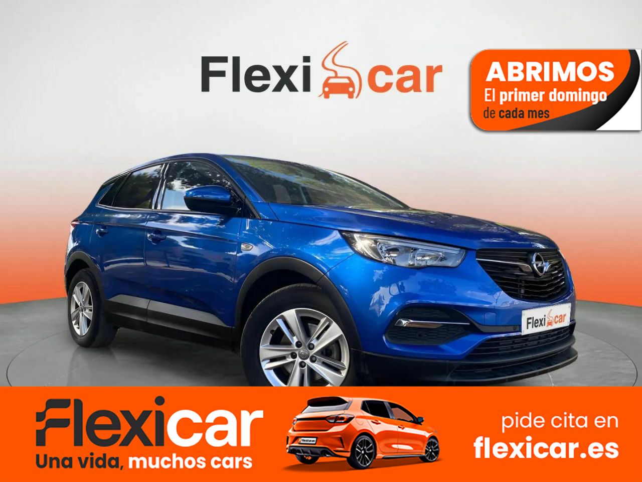 Foto Opel Grandland X 1