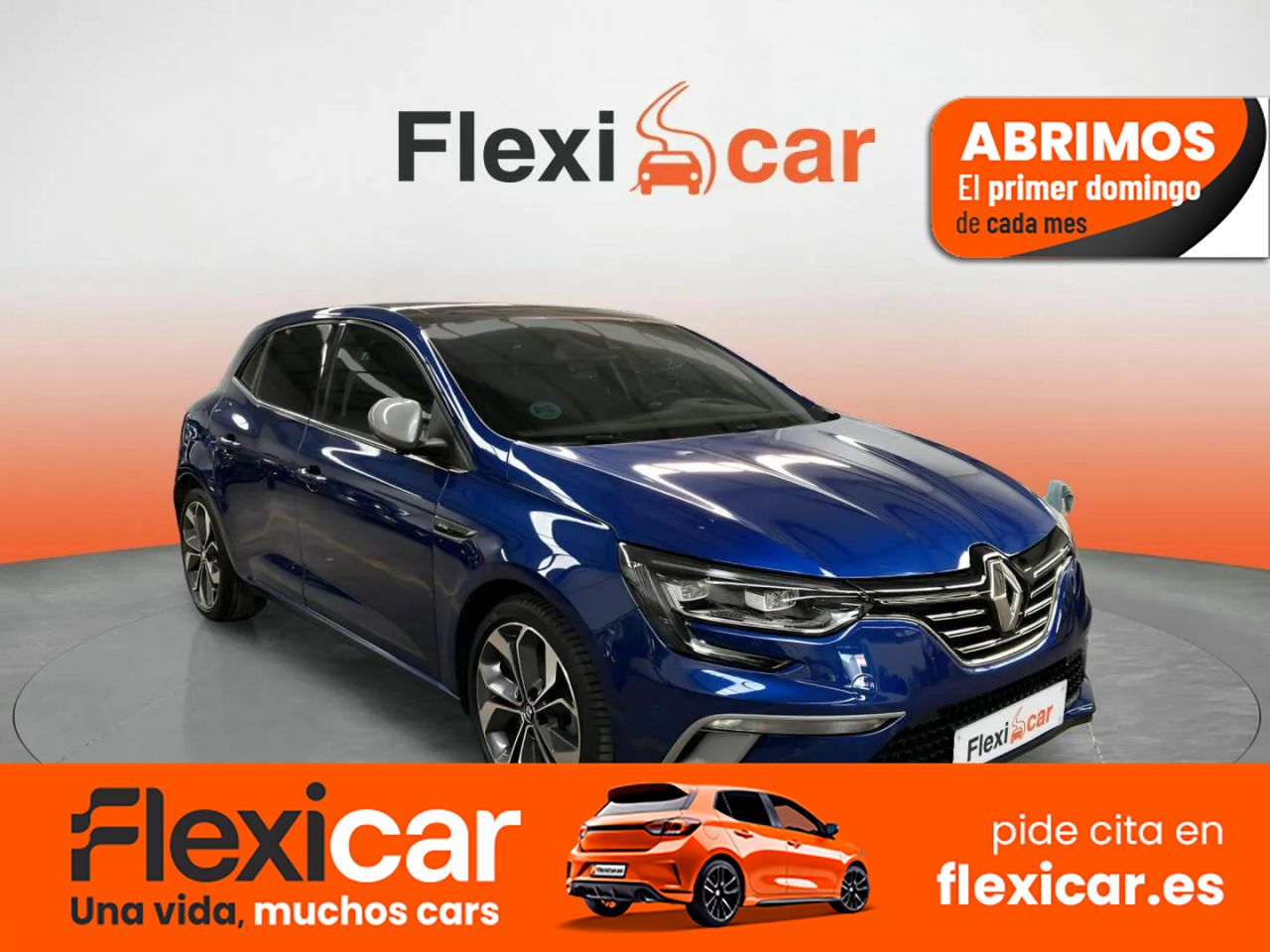 Foto Renault Mégane 1