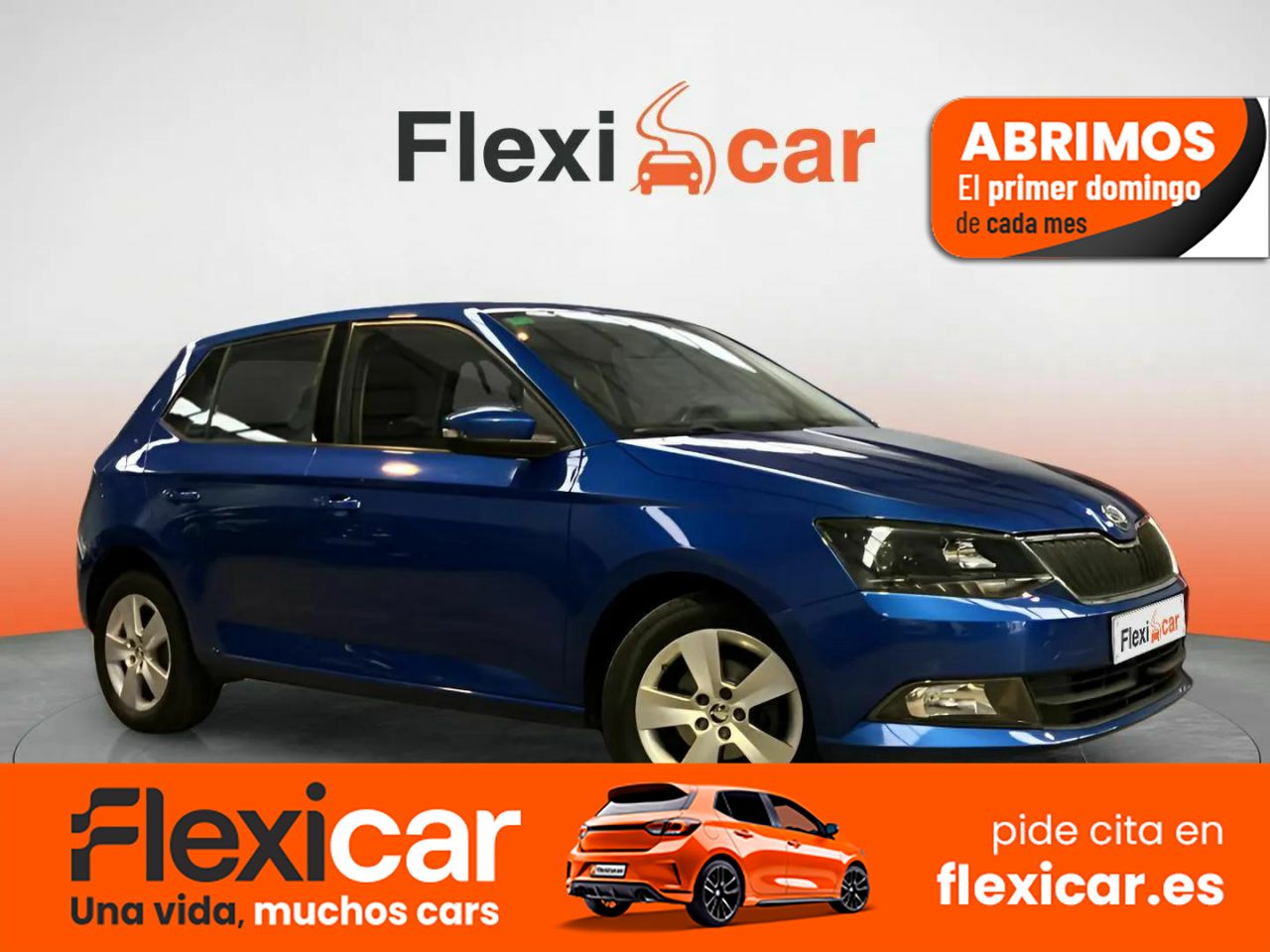 Foto Skoda Fabia 1