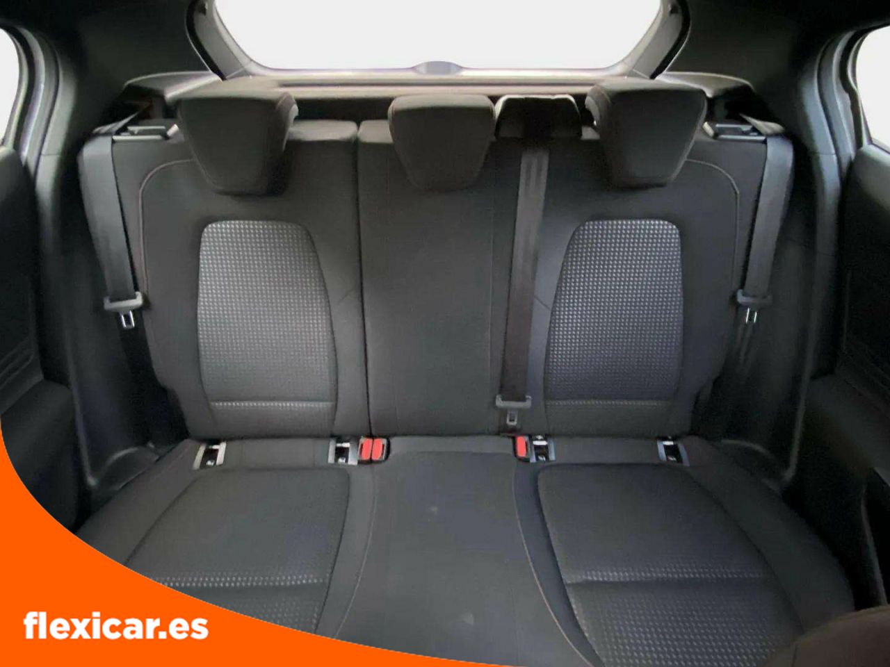 Foto Ford Focus 15