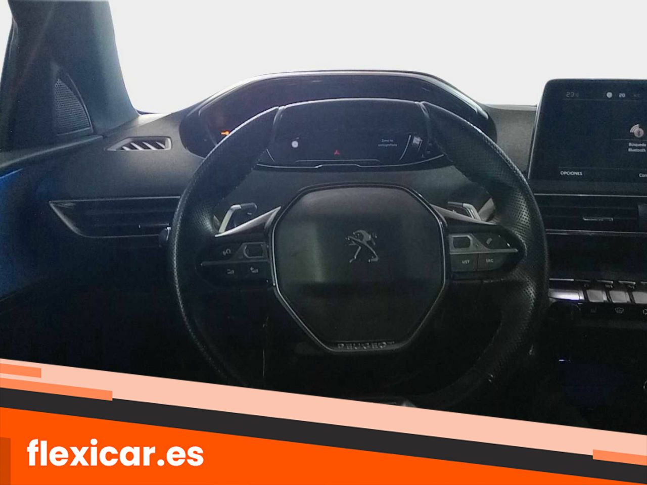 Foto Peugeot 3008 10