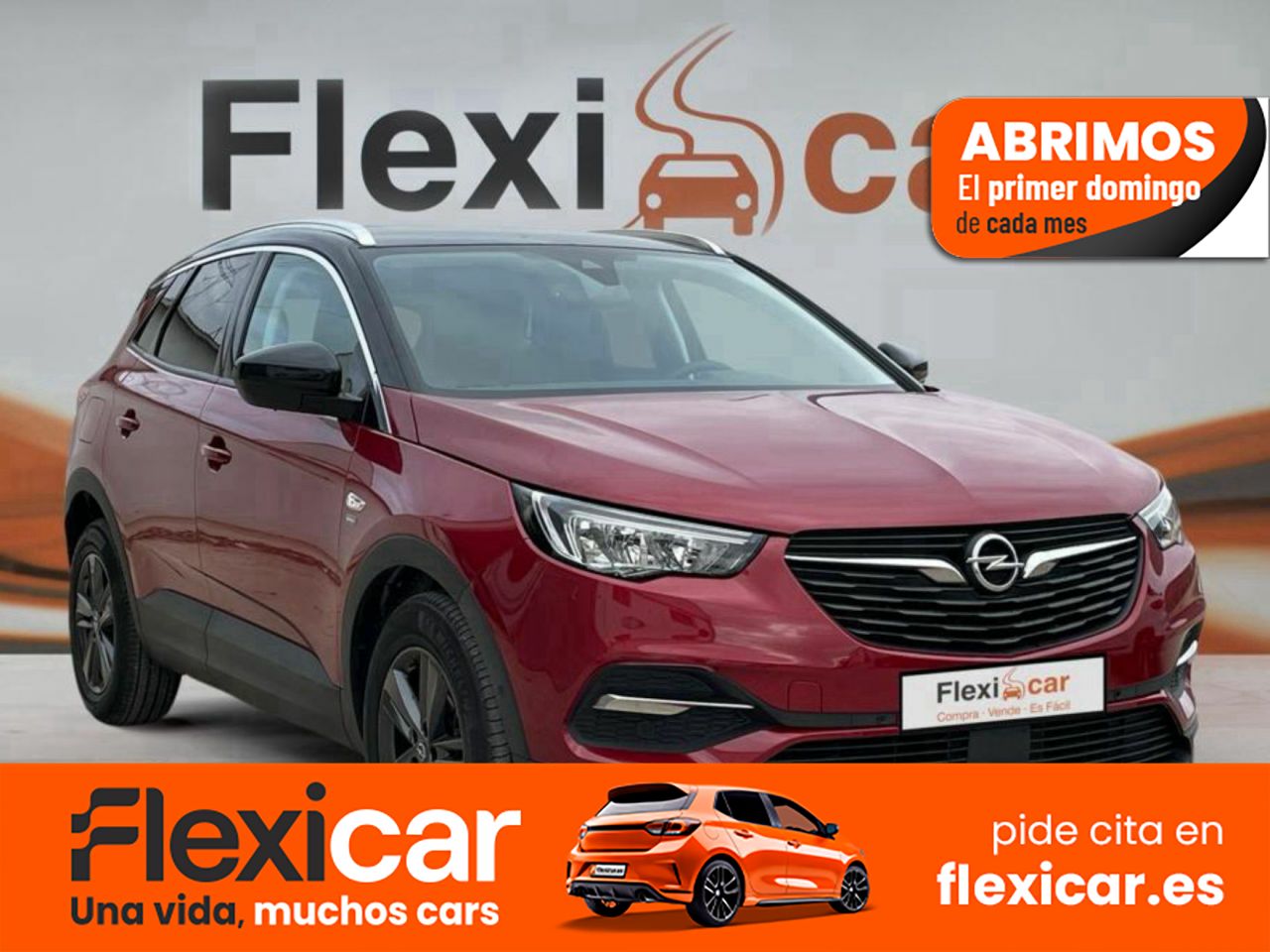 Foto Opel Grandland X 1