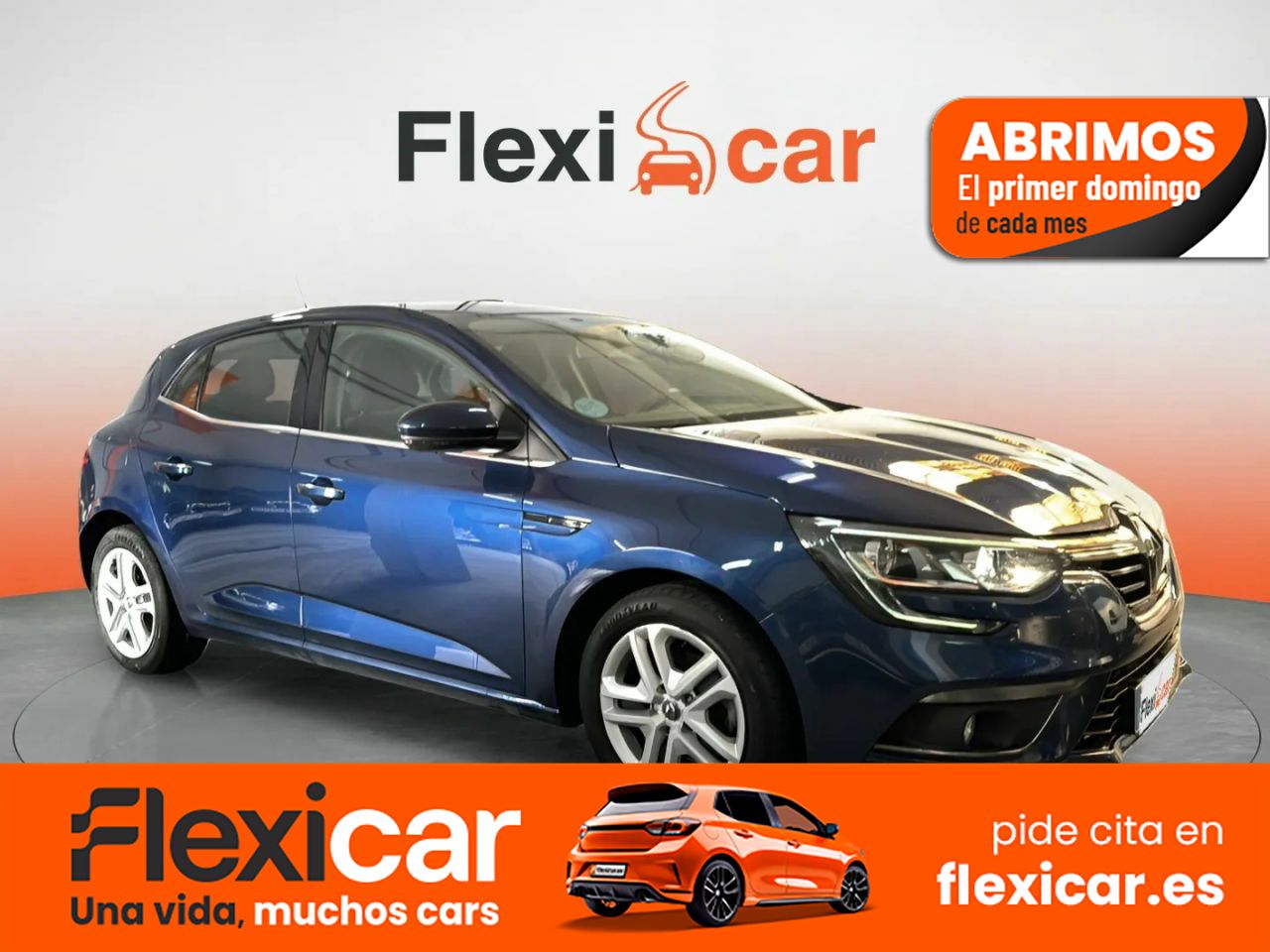 Foto Renault Mégane 1
