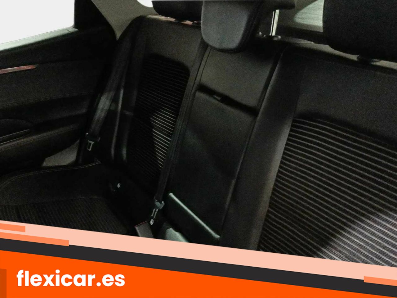 Foto Renault Talisman 19