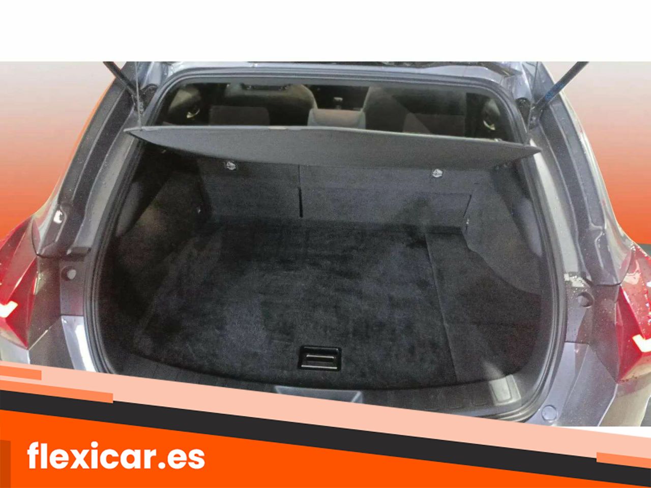 Foto Lexus UX 16