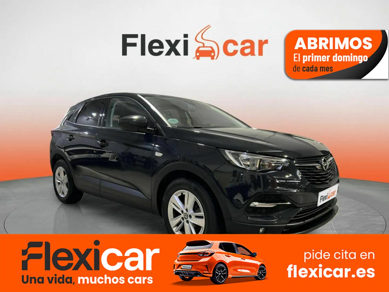Foto Opel Grandland X 1