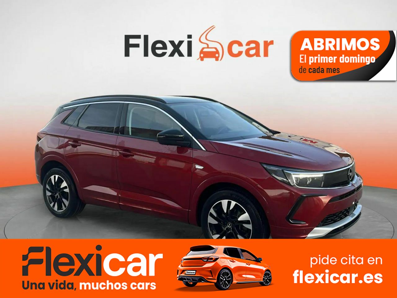 Foto Opel Grandland X 1