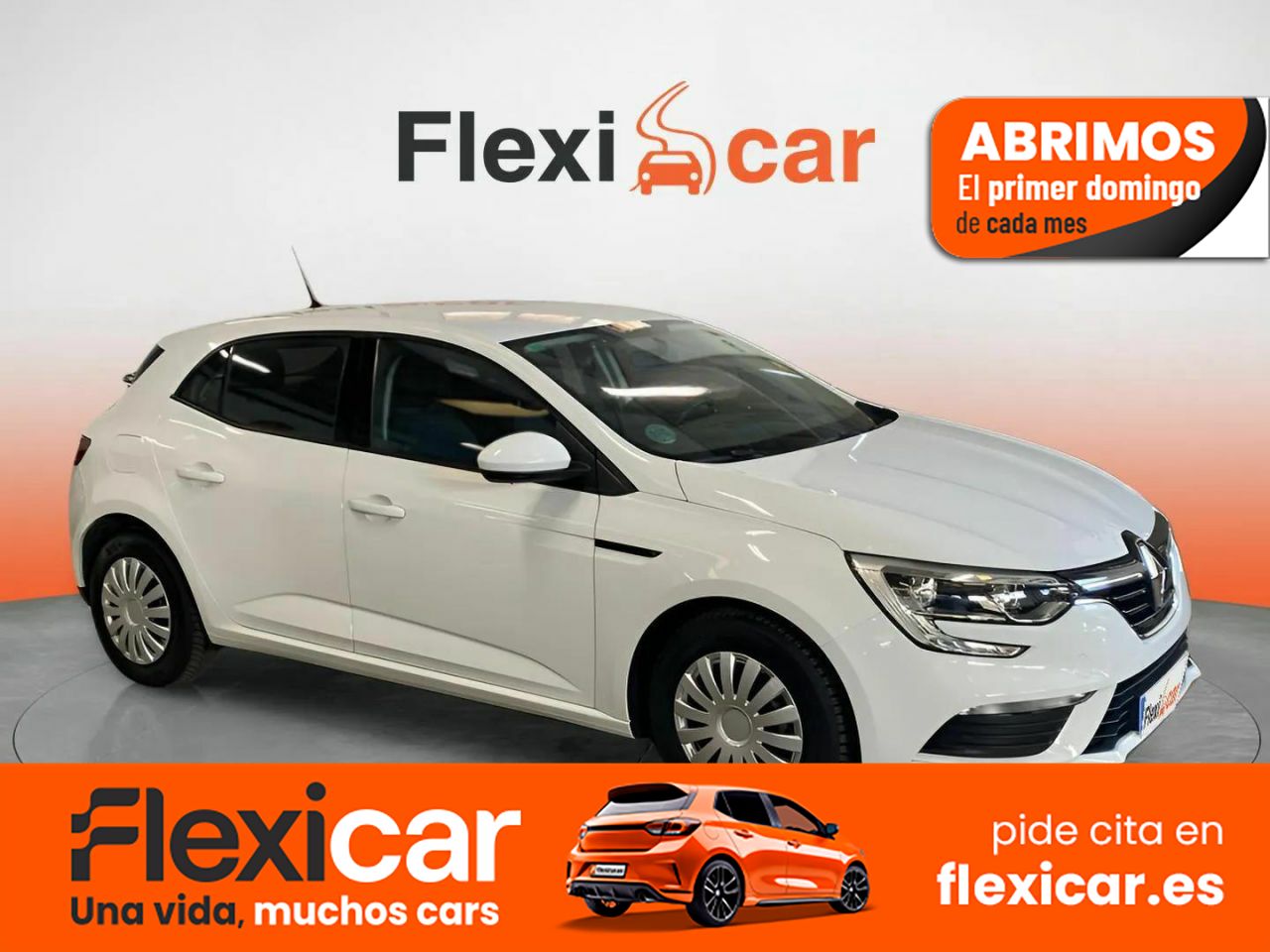 Foto Renault Mégane 1