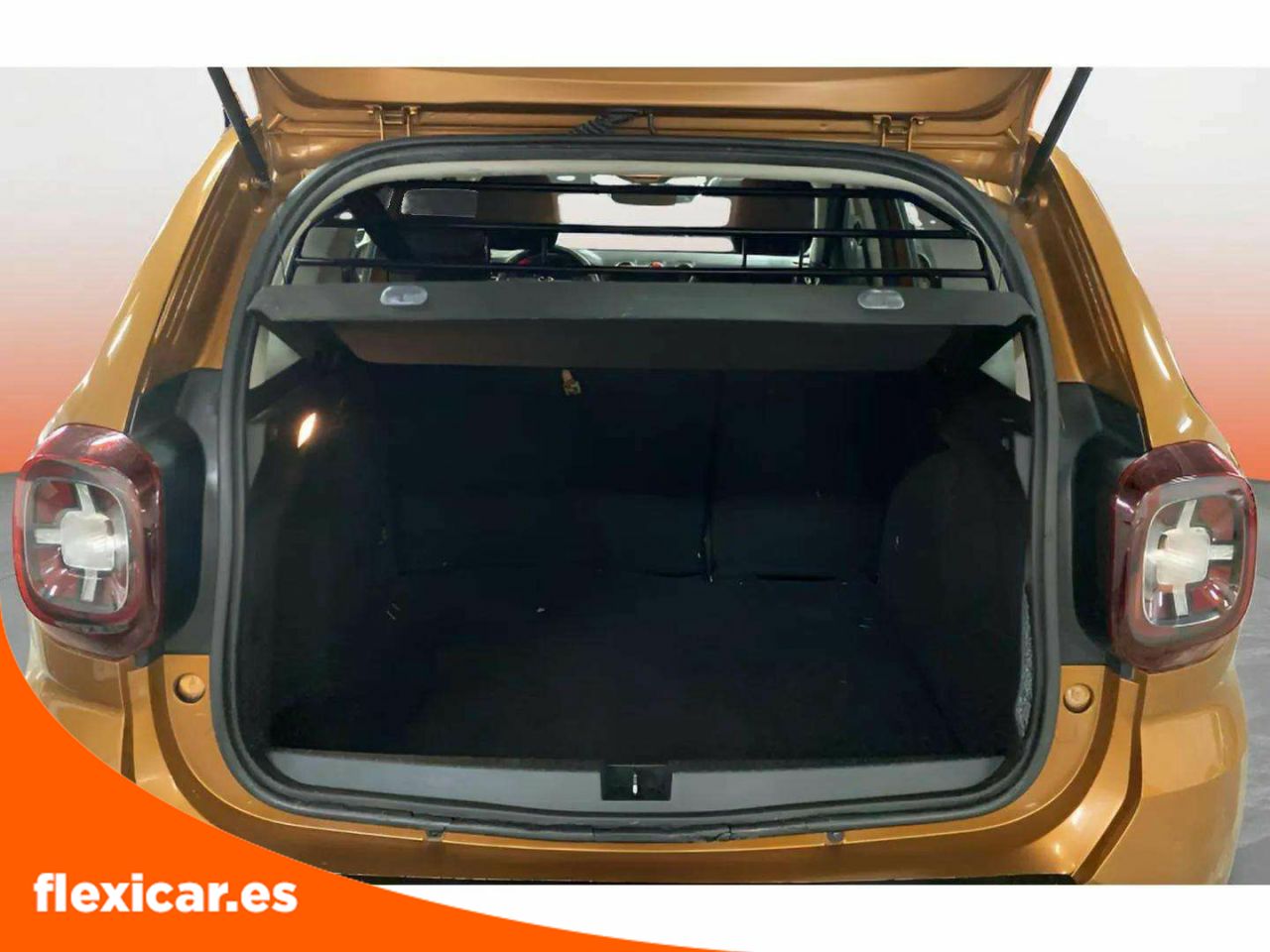 Foto Dacia Duster 10