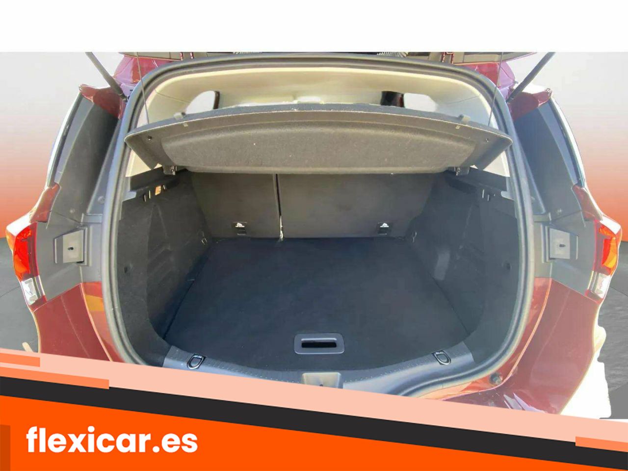 Foto Renault Scénic 17