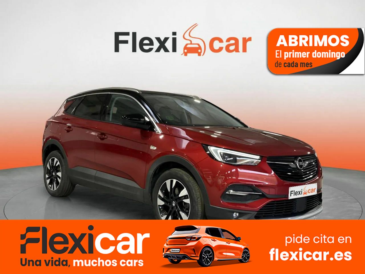 Foto Opel Grandland X 1