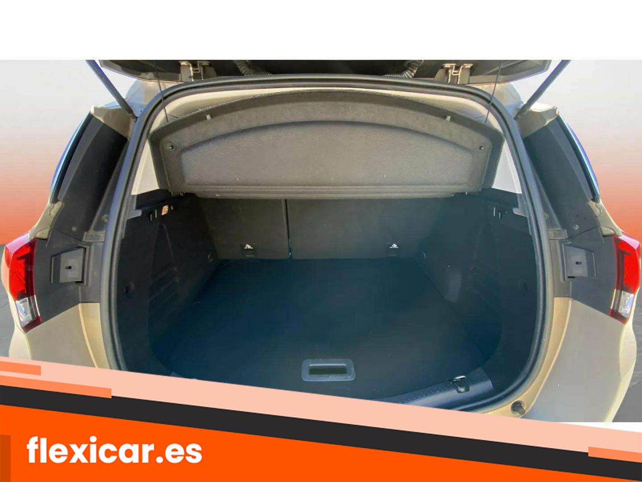 Foto Renault Scénic 17