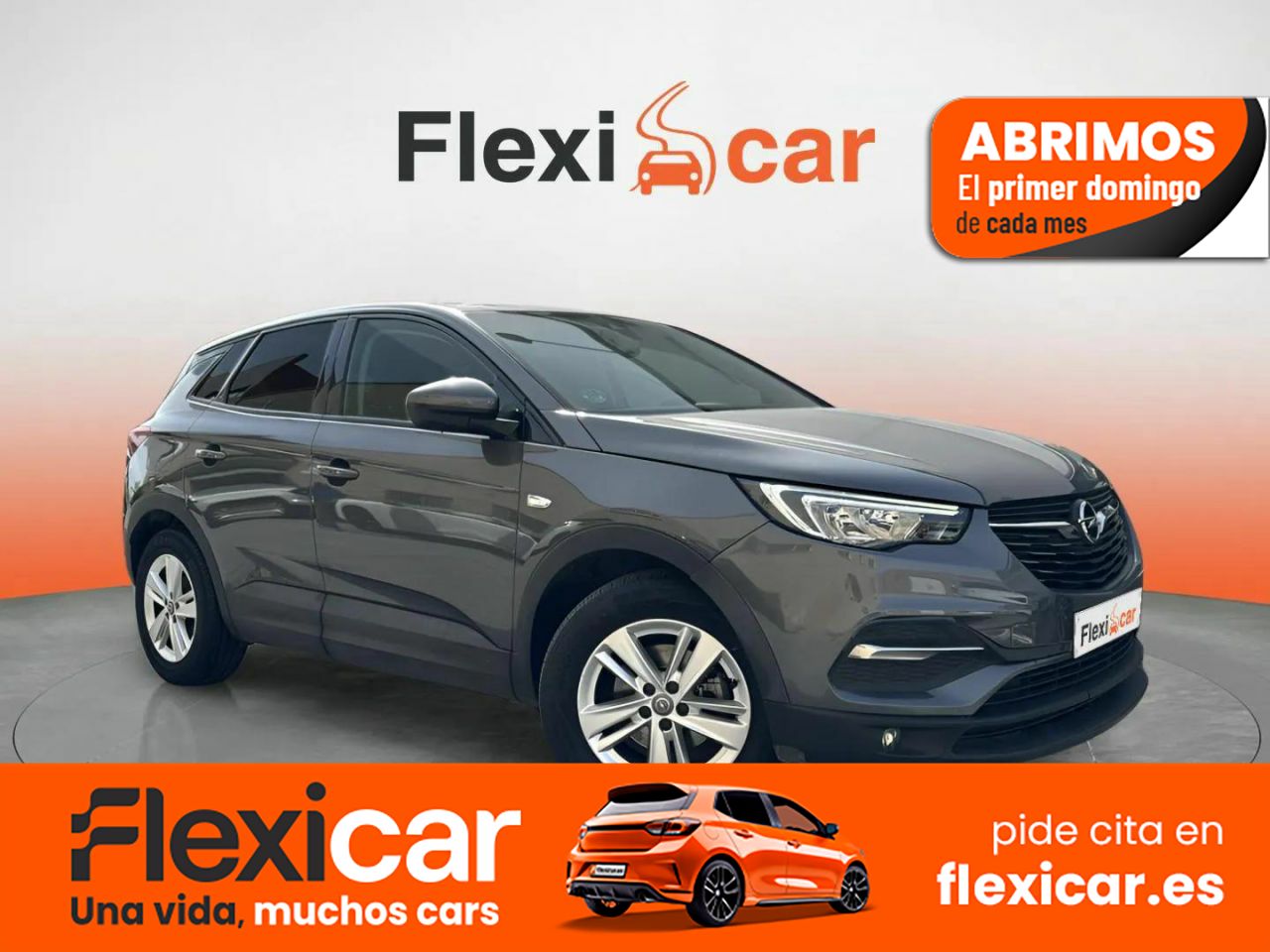 Foto Opel Grandland X 1