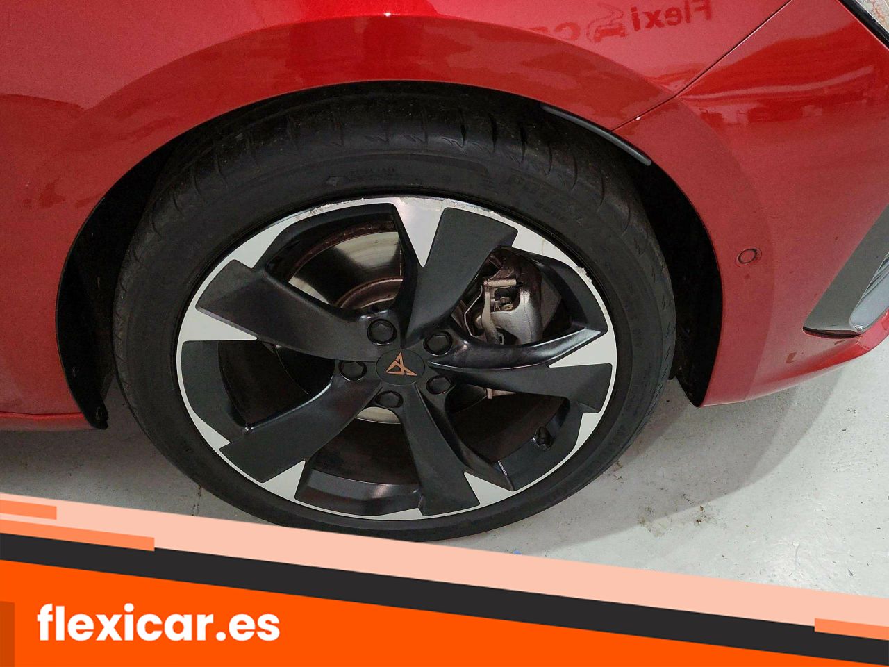 Foto Cupra León 24