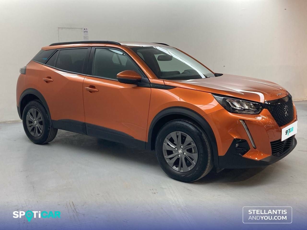 Foto Peugeot 2008 4