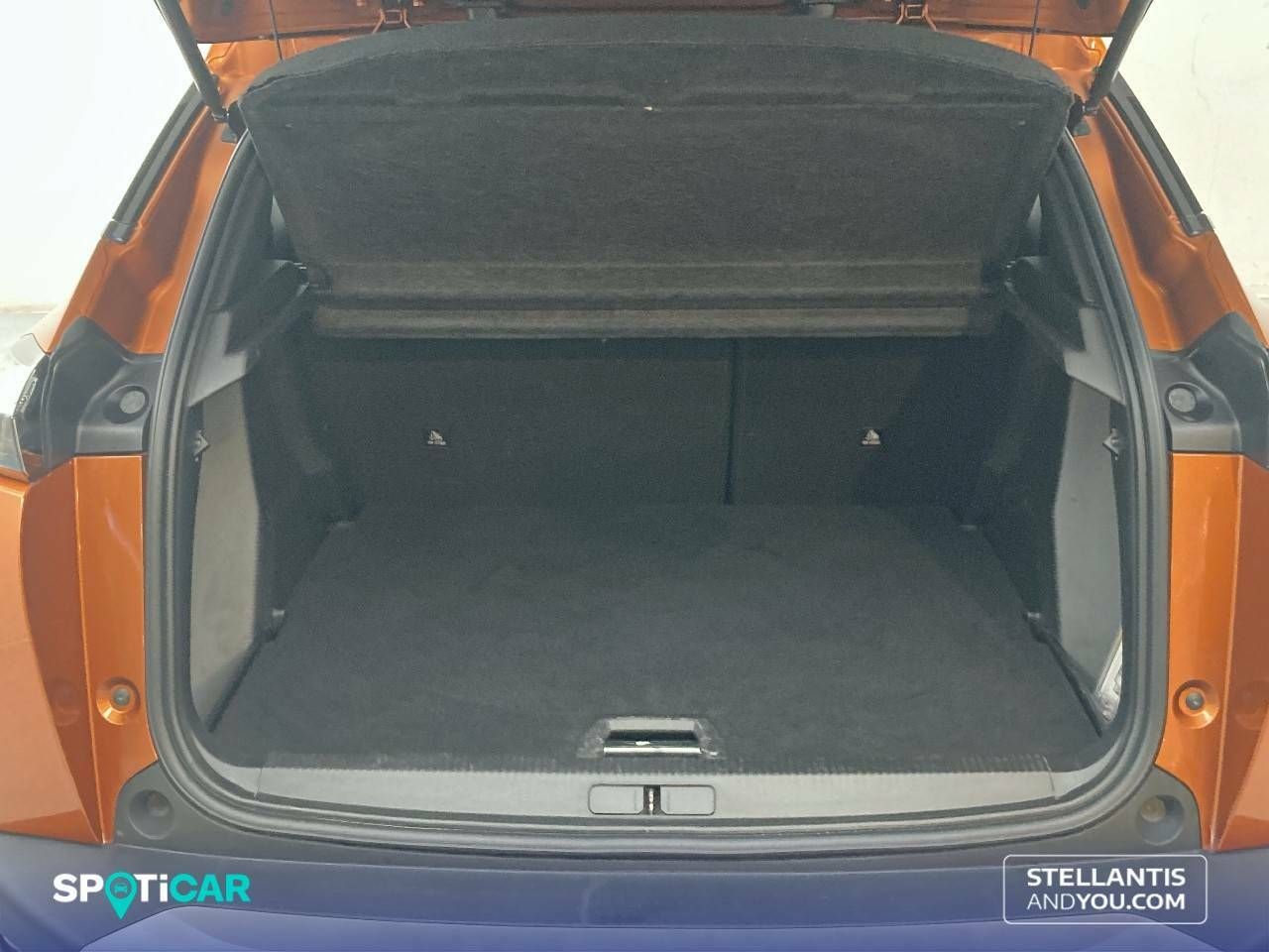 Foto Peugeot 2008 6