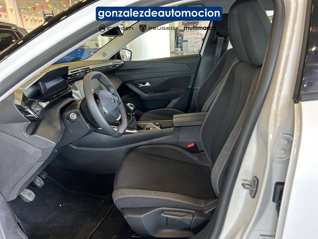 Foto Peugeot 308 9