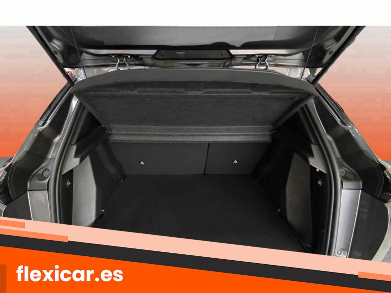 Foto Peugeot 2008 10