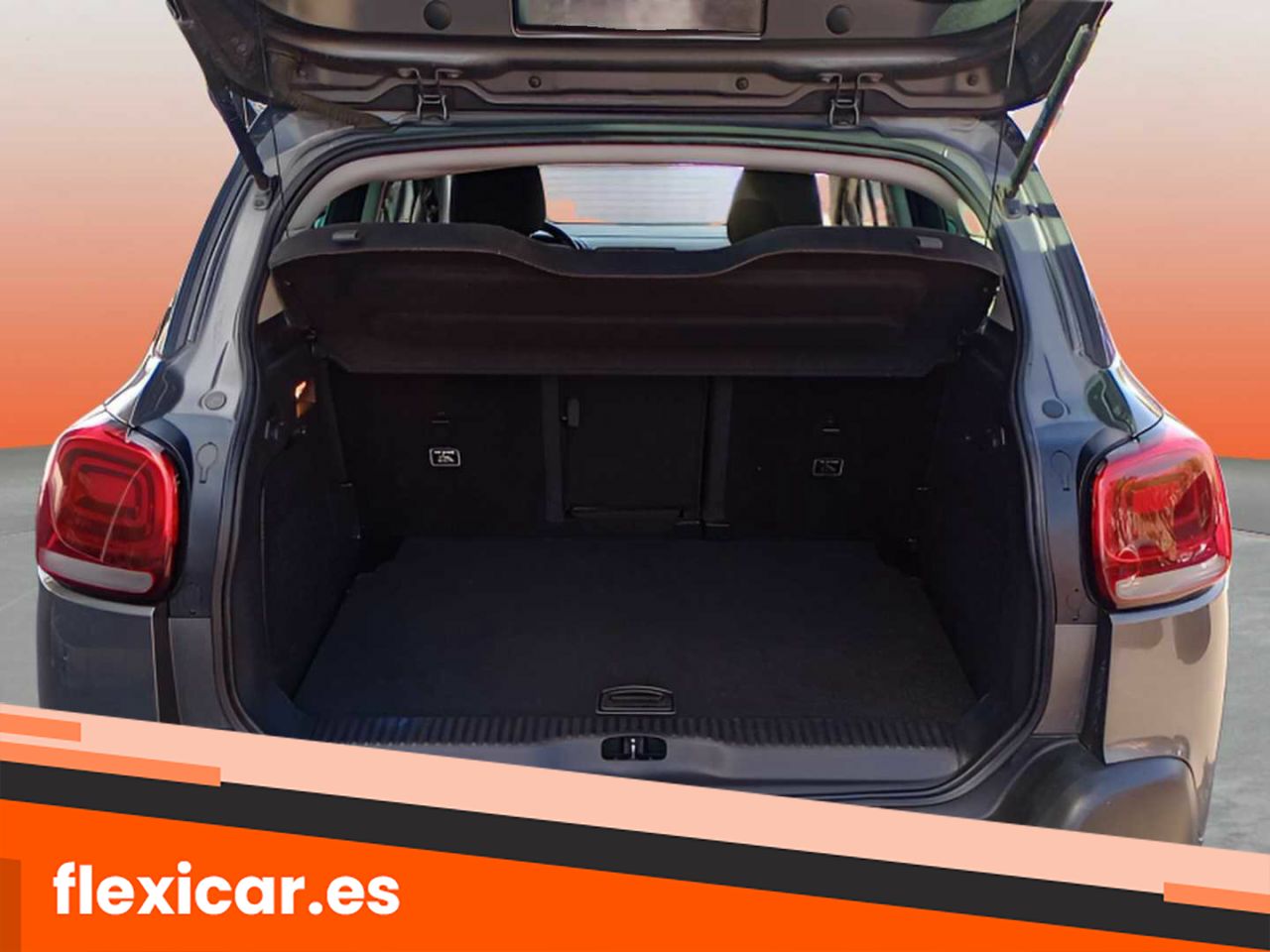 Foto Citroën C3 Aircross 10