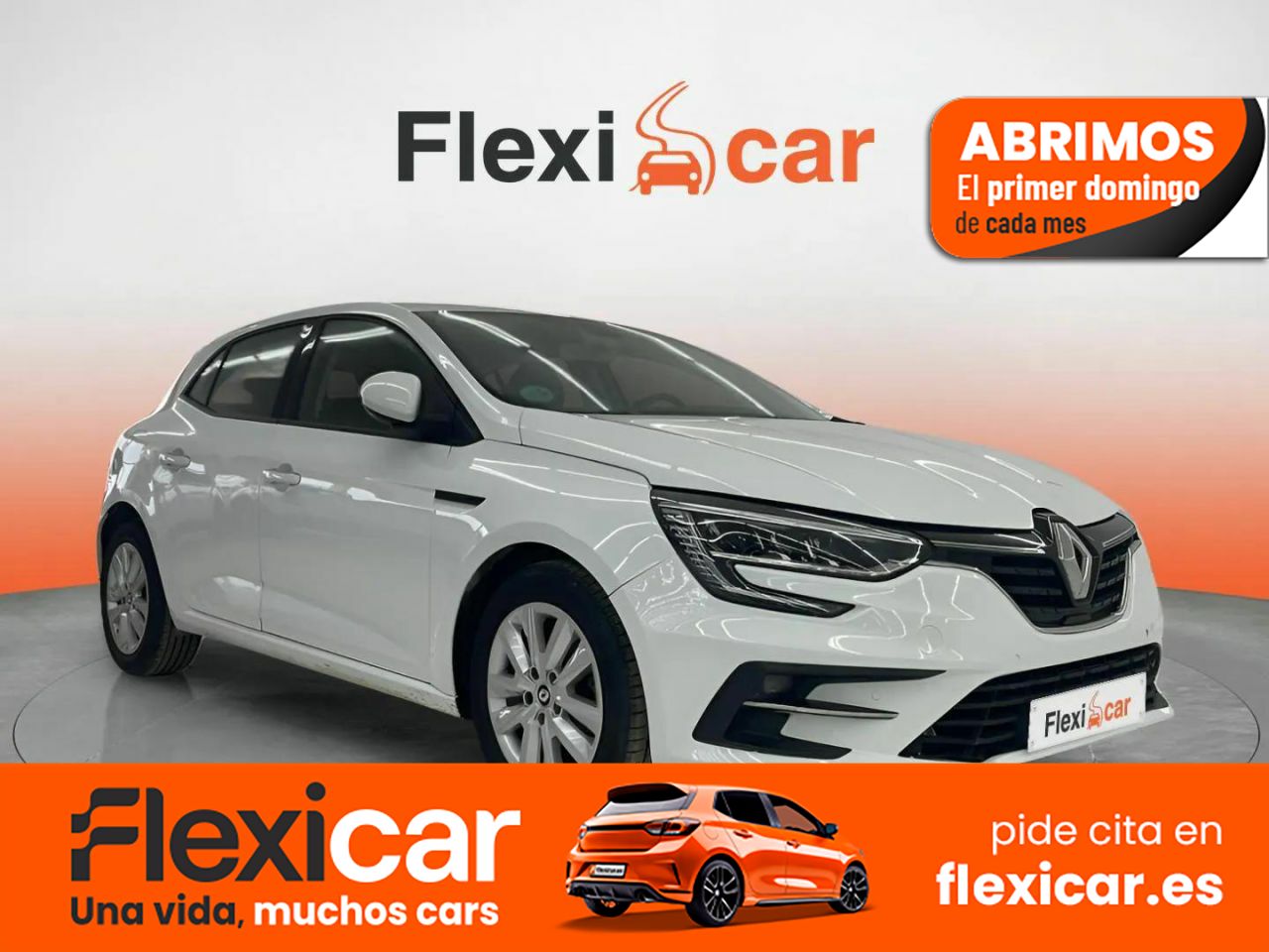 Foto Renault Mégane 1