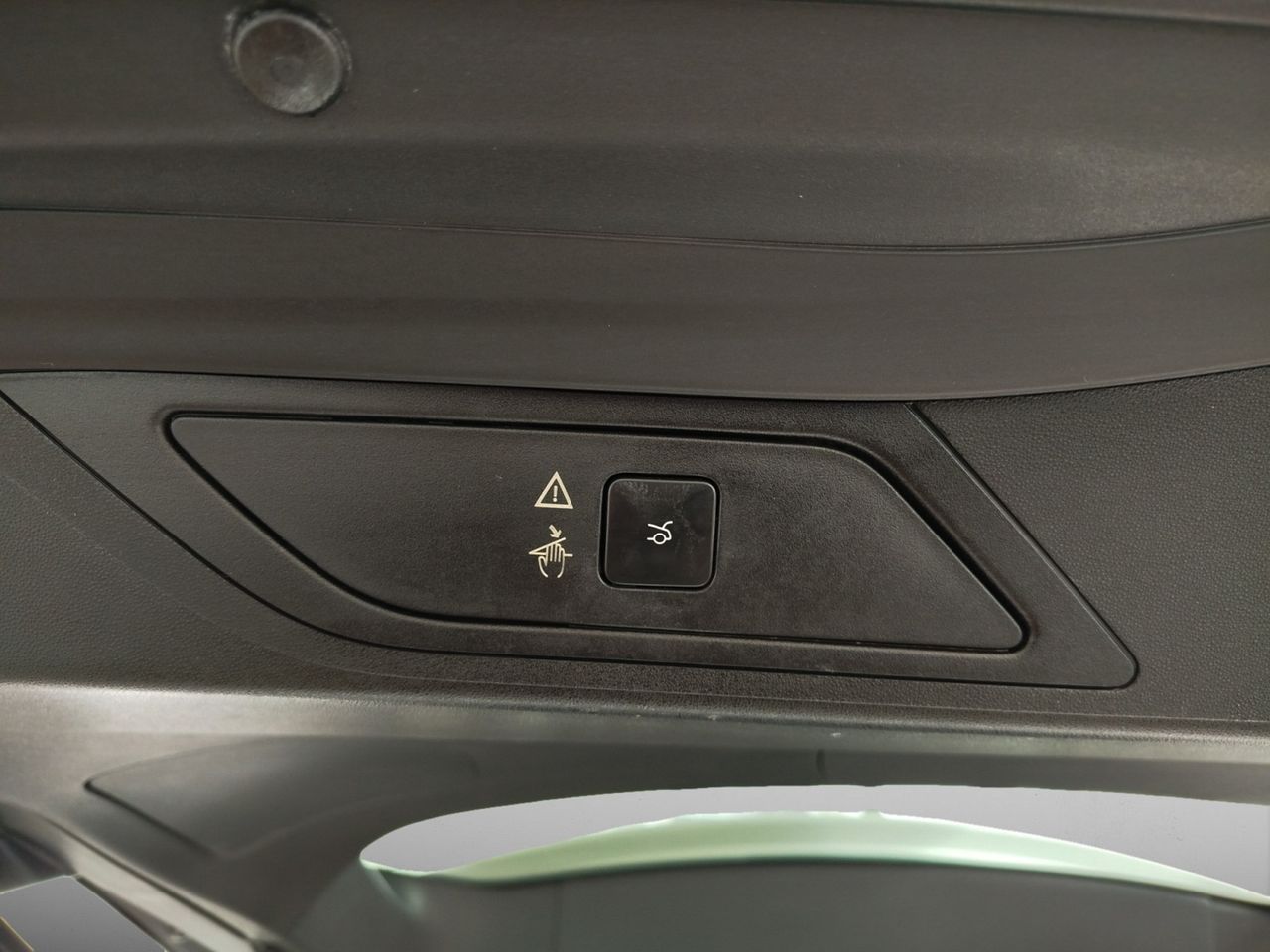 Foto Citroën C4 Picasso 20
