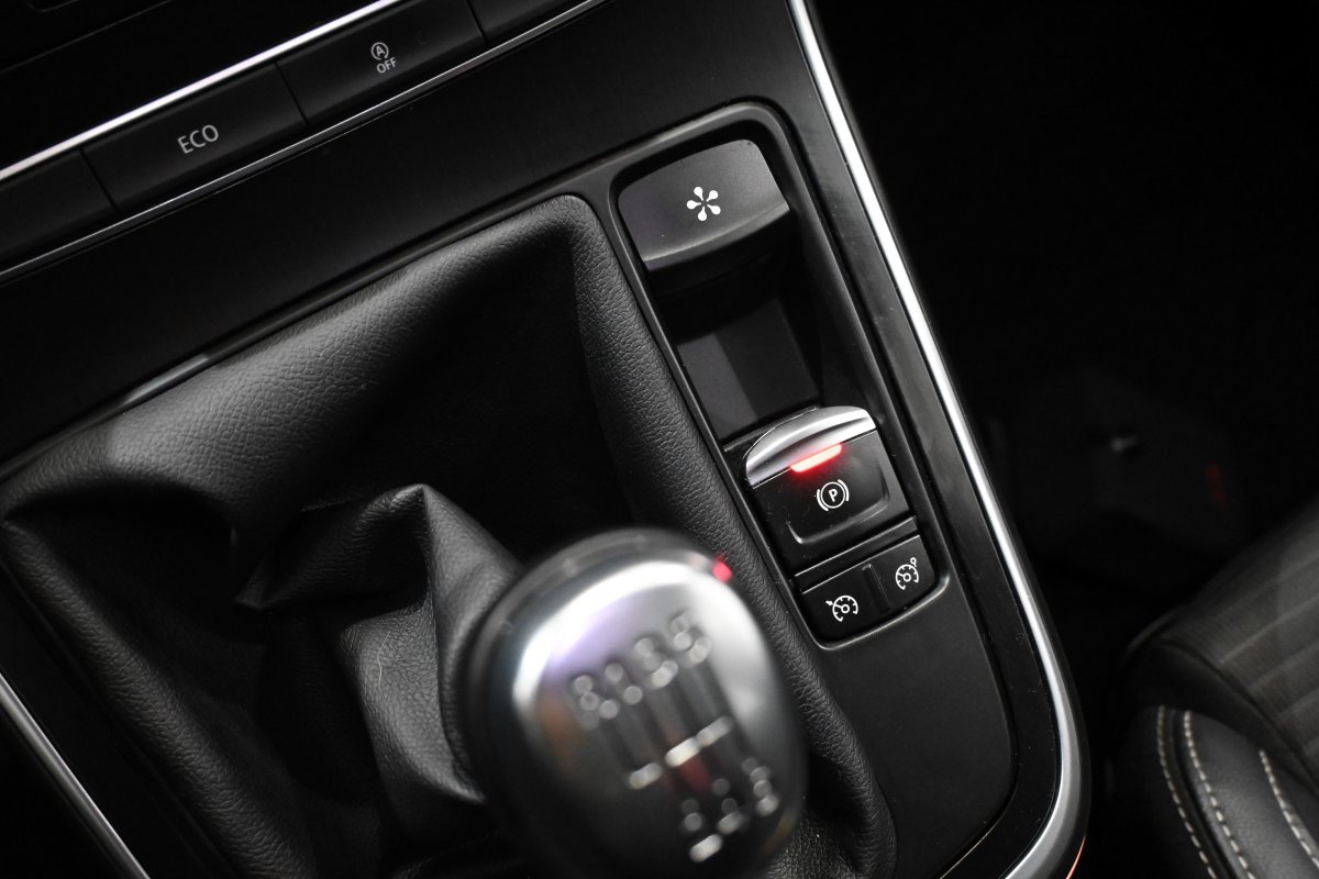 Foto Renault Scénic 19