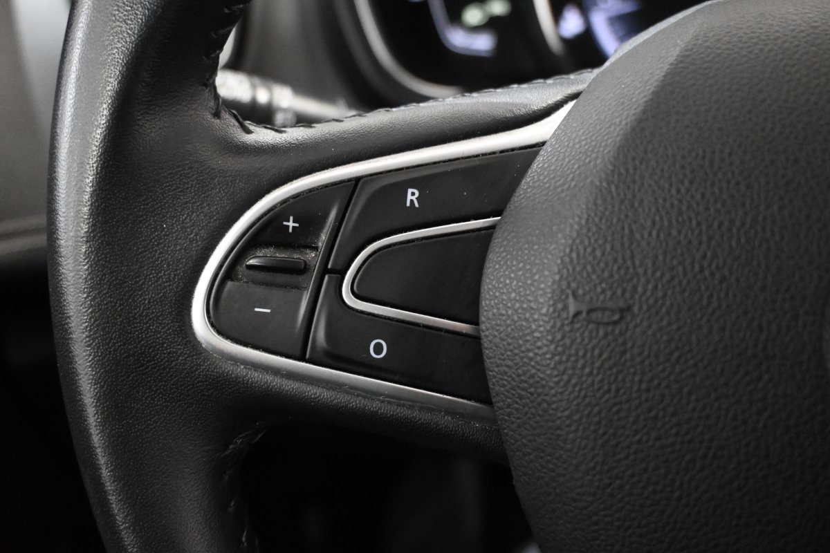 Foto Renault Scénic 22