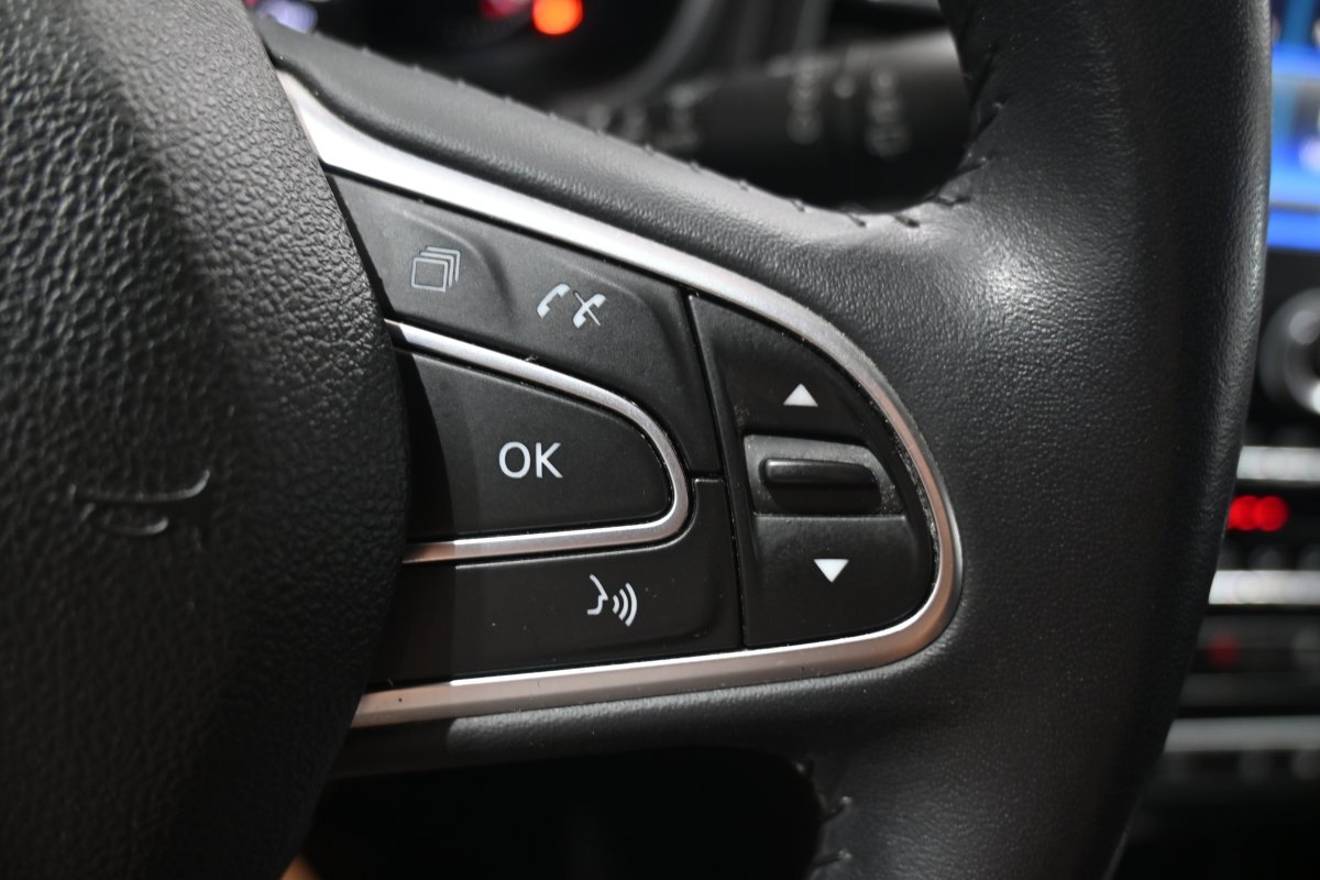 Foto Renault Mégane 22