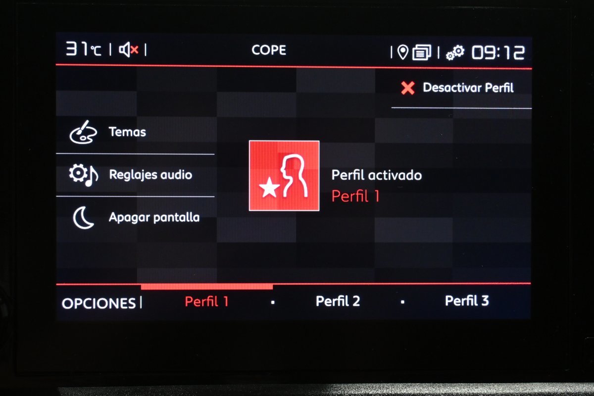 Foto Citroën Berlingo 15