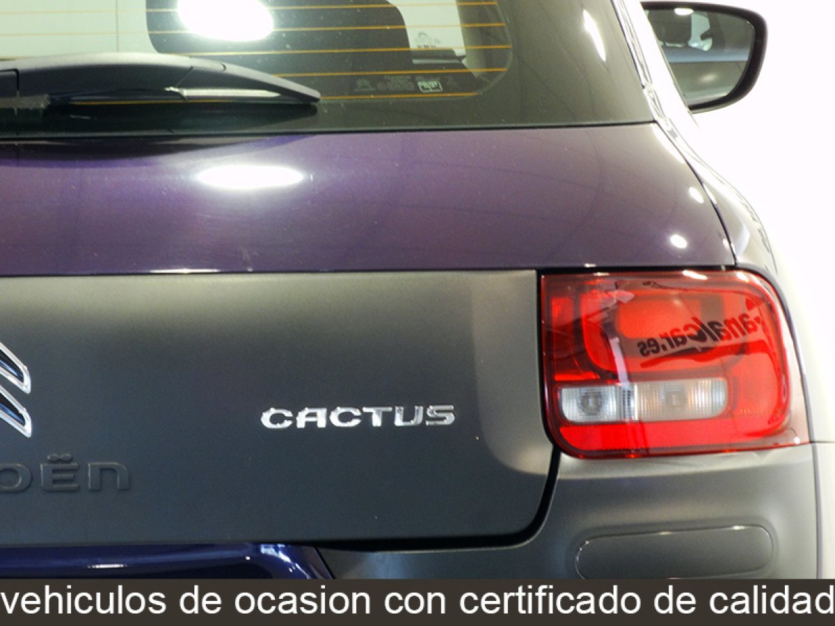Foto Citroën C4 Cactus 13