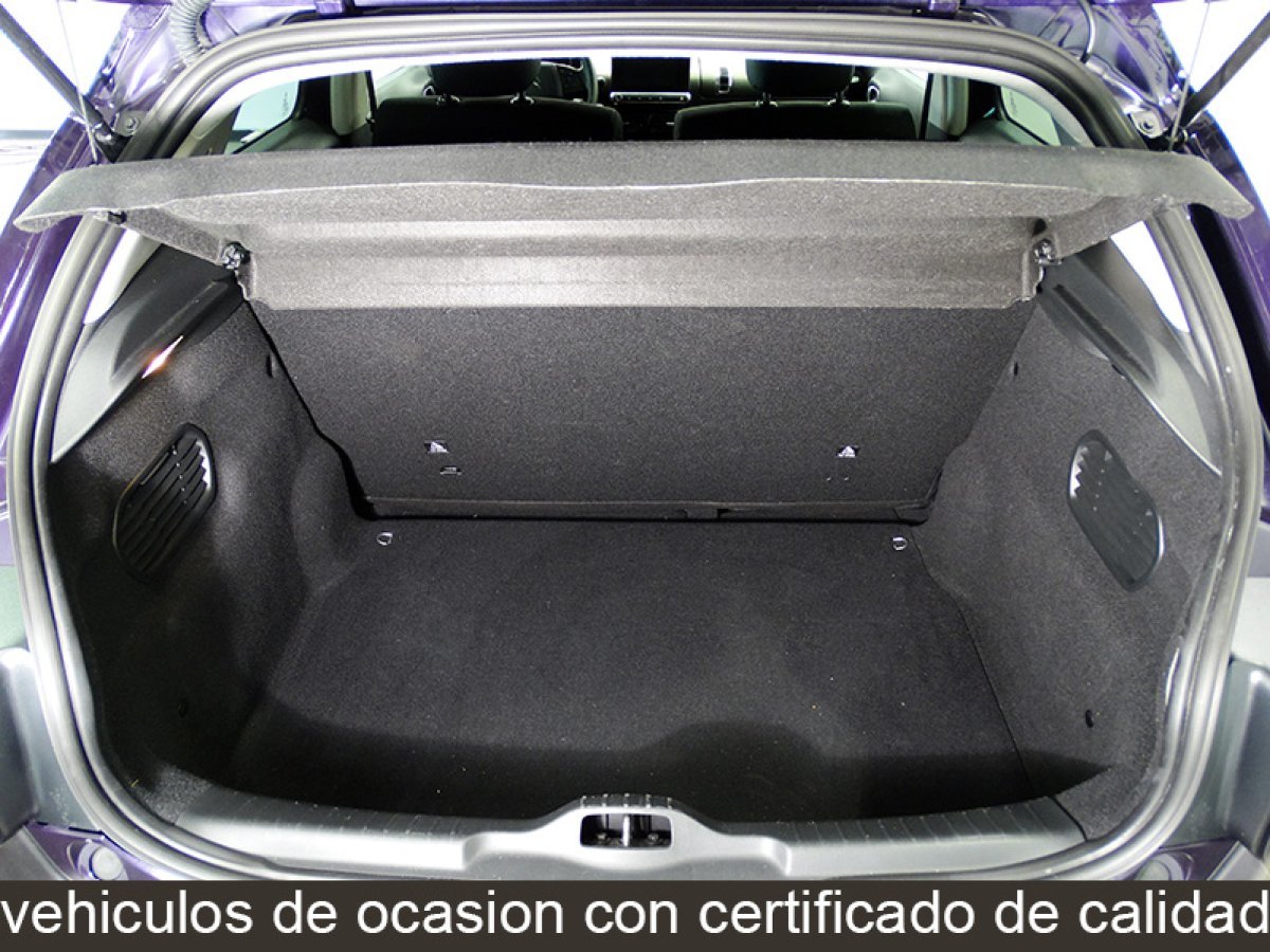 Foto Citroën C4 Cactus 15